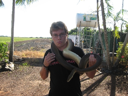 img_1210 Begeistert habe ich diese (ziemlich kleine) Olivpython auf dem Arm. Wir haben uns sehr gut verstanden, auch wenn ich hinterher leichte Würgemale am Hals hatte.